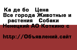 Ка де бо › Цена ­ 25 000 - Все города Животные и растения » Собаки   . Ненецкий АО,Коткино с.